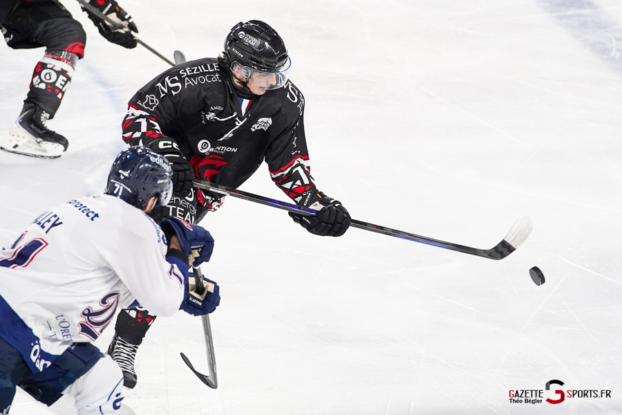 hockey sur glace (synerglace ligue magnus journée 3) : gothiques d’amiens v ducs d’angers