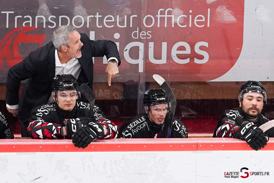 hockey sur glace (synerglace ligue magnus journée 3) : gothiques d’amiens v ducs d’angers