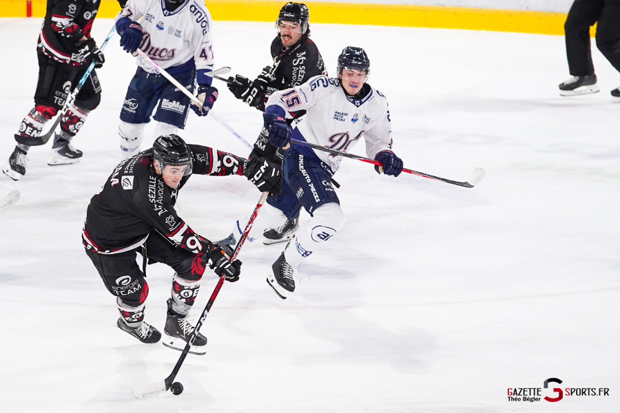 hockey sur glace (synerglace ligue magnus journée 3) : gothiques d’amiens v ducs d’angers