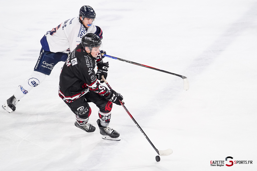 hockey sur glace (synerglace ligue magnus journée 3) : gothiques d’amiens v ducs d’angers