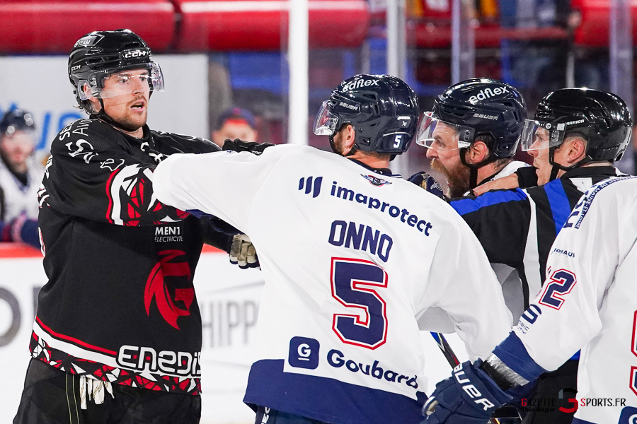 hockey sur glace (synerglace ligue magnus journée 3) : gothiques d’amiens v ducs d’angers