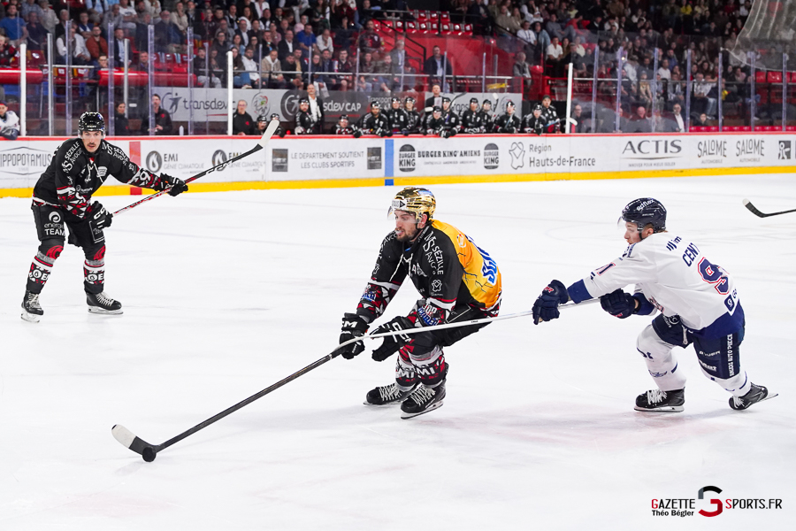 hockey sur glace (synerglace ligue magnus journée 3) : gothiques d’amiens v ducs d’angers