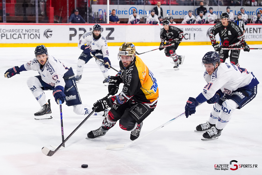 hockey sur glace (synerglace ligue magnus journée 3) : gothiques d’amiens v ducs d’angers