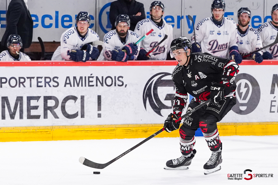 hockey sur glace (synerglace ligue magnus journée 3) : gothiques d’amiens v ducs d’angers