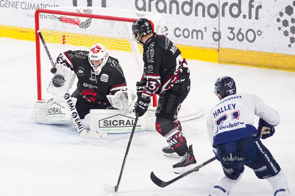 hockey sur glace (synerglace ligue magnus journ&eacute;e 3) : gothiques d&rsquo;amiens v ducs d&rsquo;angers
