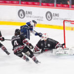 hockey sur glace (synerglace ligue magnus journée 3) : gothiques d’amiens v ducs d’angers