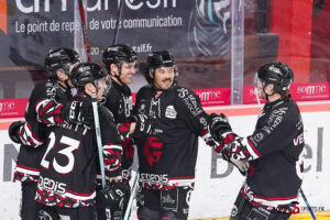 hockey sur glace (synerglace ligue magnus journée 5) : gothiques d’amiens v rapaces de gap