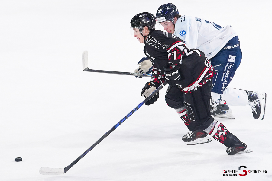 hockey sur glace (synerglace ligue magnus journée 5) : gothiques d’amiens v rapaces de gap
