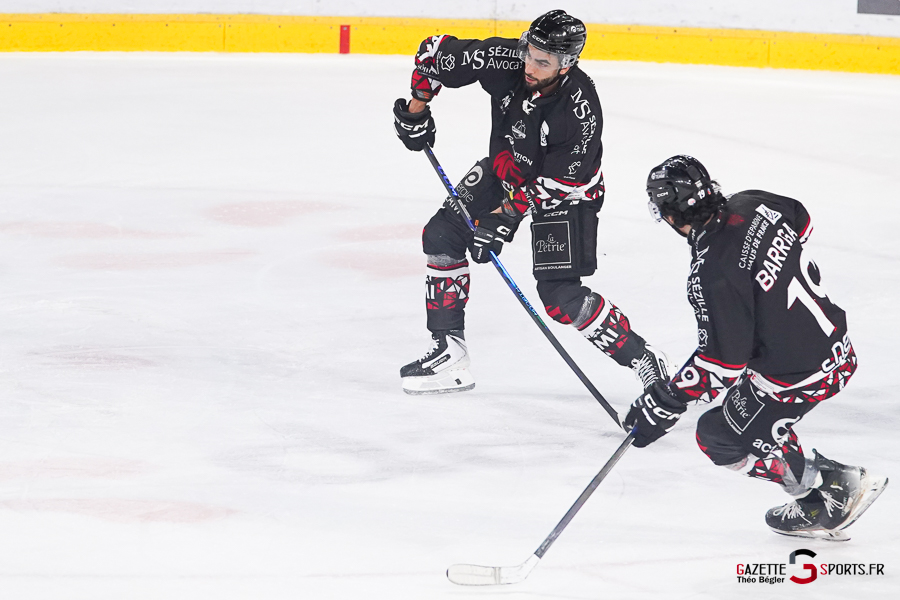 hockey sur glace (synerglace ligue magnus journée 5) : gothiques d’amiens v rapaces de gap