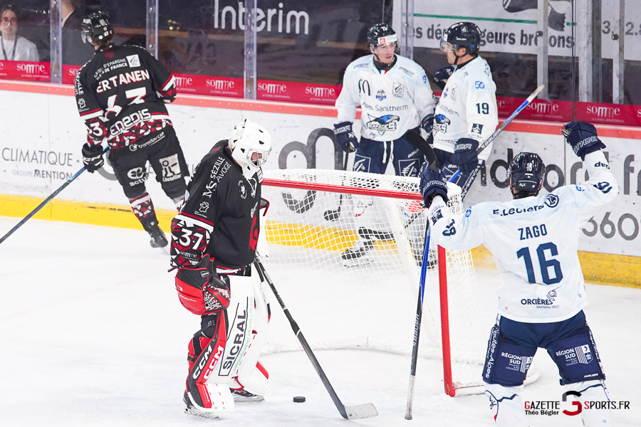 hockey sur glace (synerglace ligue magnus journée 5) : gothiques d’amiens v rapaces de gap