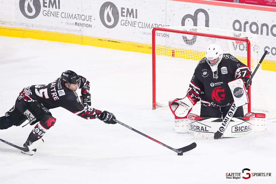 hockey sur glace (synerglace ligue magnus journée 5) : gothiques d’amiens v rapaces de gap