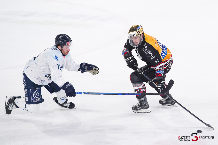 hockey sur glace (synerglace ligue magnus journée 5) : gothiques d’amiens v rapaces de gap