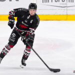 hockey sur glace (synerglace ligue magnus journée 5) : gothiques d’amiens v rapaces de gap