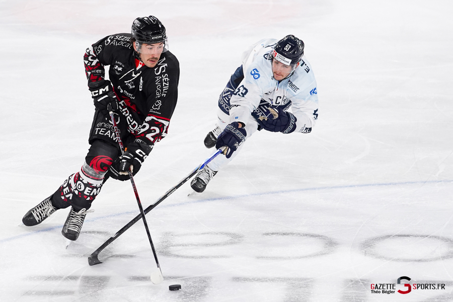 hockey sur glace (synerglace ligue magnus journée 5) : gothiques d’amiens v rapaces de gap