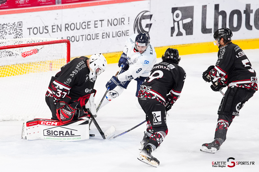 hockey sur glace (synerglace ligue magnus journée 5) : gothiques d’amiens v rapaces de gap