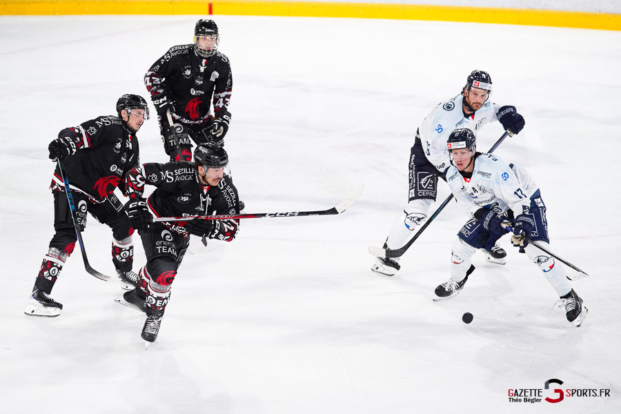 hockey sur glace (synerglace ligue magnus journée 5) : gothiques d’amiens v rapaces de gap