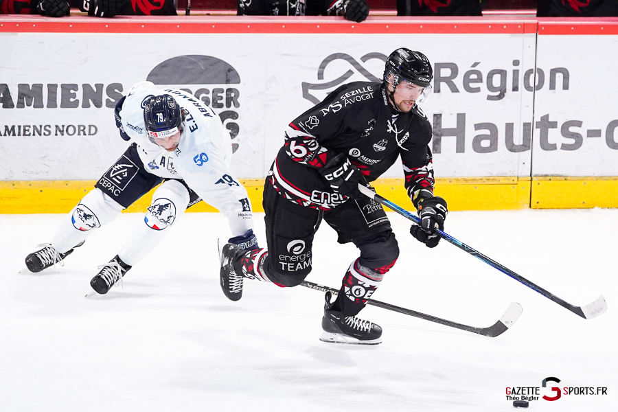 hockey sur glace (synerglace ligue magnus journée 5) : gothiques d’amiens v rapaces de gap
