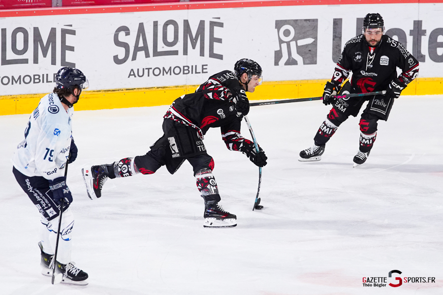 hockey sur glace (synerglace ligue magnus journée 5) : gothiques d’amiens v rapaces de gap