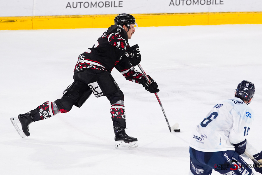 hockey sur glace (synerglace ligue magnus journée 5) : gothiques d’amiens v rapaces de gap