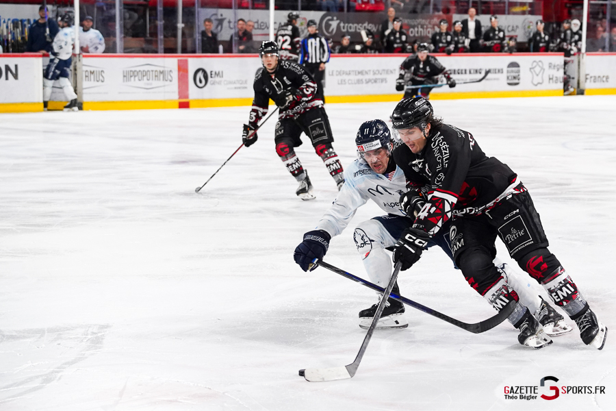 hockey sur glace (synerglace ligue magnus journée 5) : gothiques d’amiens v rapaces de gap