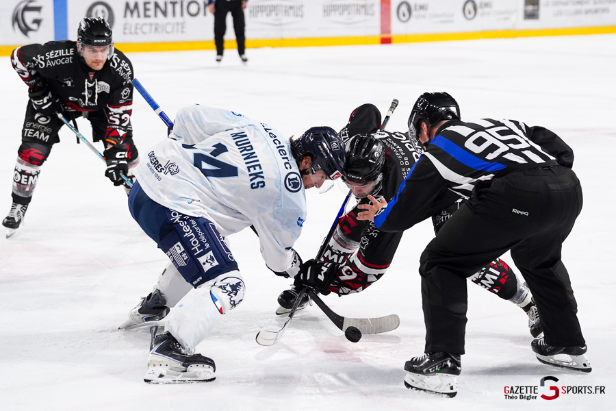 hockey sur glace (synerglace ligue magnus journée 5) : gothiques d’amiens v rapaces de gap