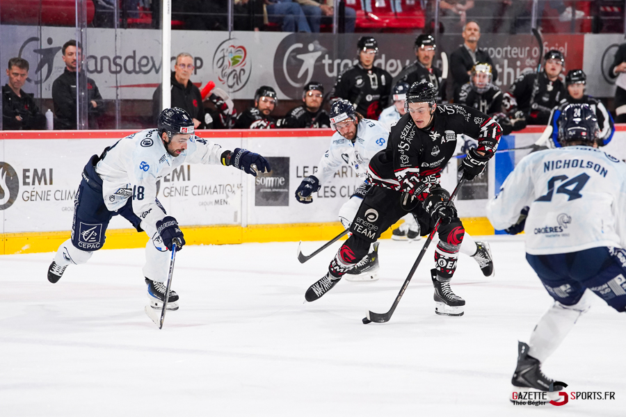 hockey sur glace (synerglace ligue magnus journée 5) : gothiques d’amiens v rapaces de gap