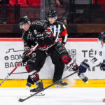 hockey sur glace (synerglace ligue magnus journée 5) : gothiques d’amiens v rapaces de gap