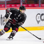 hockey sur glace (synerglace ligue magnus journée 5) : gothiques d’amiens v rapaces de gap