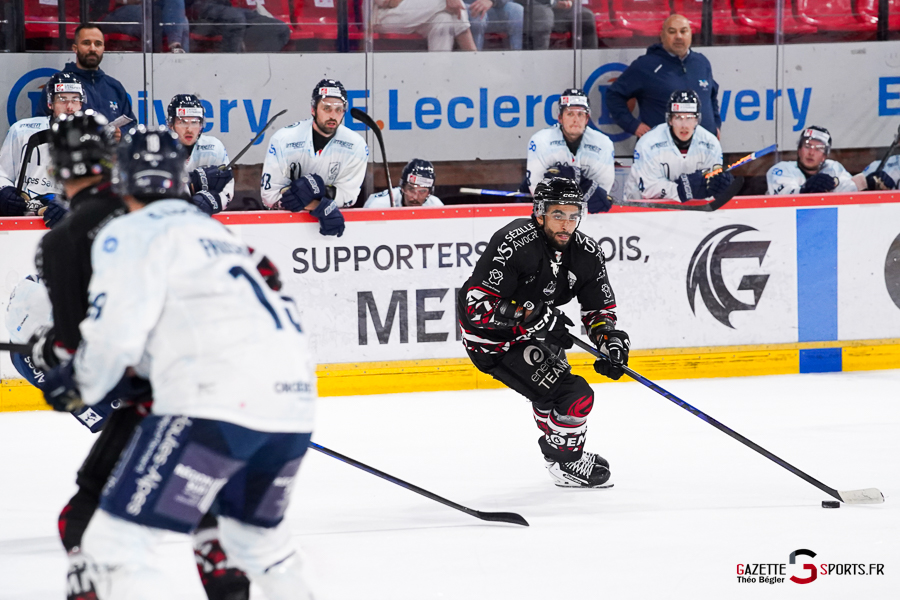 hockey sur glace (synerglace ligue magnus journée 5) : gothiques d’amiens v rapaces de gap