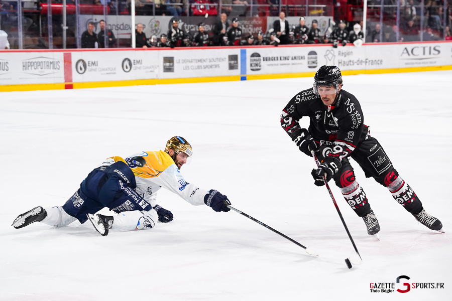 hockey sur glace (synerglace ligue magnus journée 5) : gothiques d’amiens v rapaces de gap