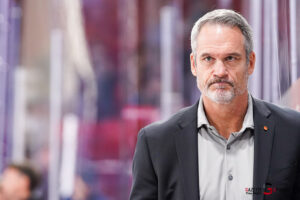 hockey sur glace (synerglace ligue magnus journée 5) : gothiques d’amiens v rapaces de gap