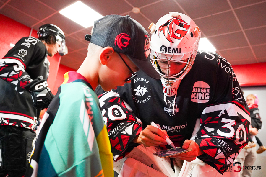 hockey sur glace (synerglace ligue magnus journée 5) : gothiques d’amiens v rapaces de gap