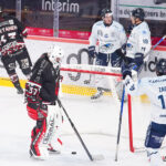 hockey sur glace (synerglace ligue magnus journée 5) : gothiques d’amiens v rapaces de gap
