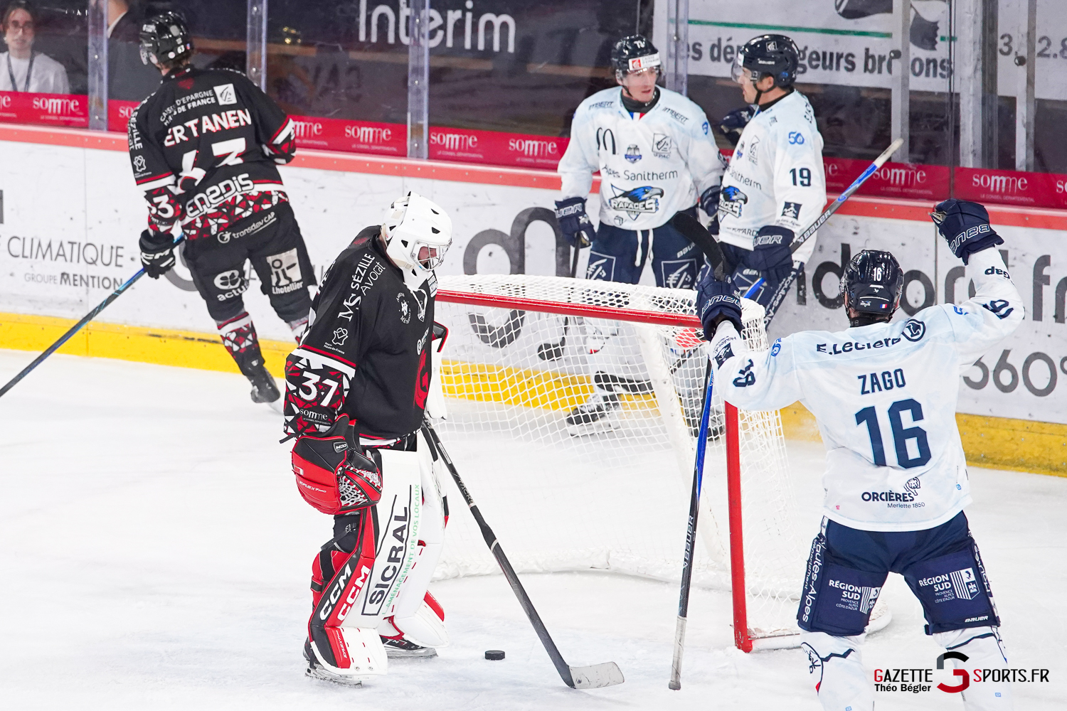 hockey sur glace (synerglace ligue magnus journée 5) : gothiques d’amiens v rapaces de gap