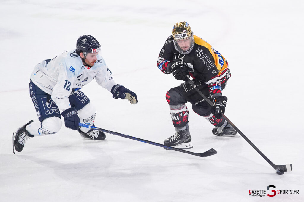 hockey sur glace (synerglace ligue magnus journée 5) : gothiques d’amiens v rapaces de gap
