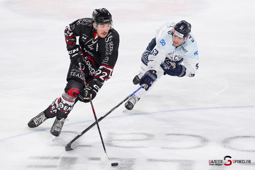 hockey sur glace (synerglace ligue magnus journée 5) : gothiques d’amiens v rapaces de gap