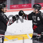 hockey sur glace (synerglace ligue magnus journée 10) : gothiques d’amiens v spartiates de marseille