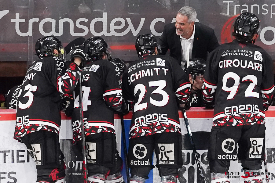 hockey sur glace (synerglace ligue magnus journ&eacute;e 10) : gothiques d&rsquo;amiens v spartiates de marseille