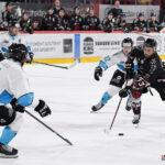 hockey sur glace (synerglace ligue magnus journée 10) : gothiques d’amiens v spartiates de marseille