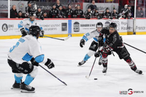 hockey sur glace (synerglace ligue magnus journée 10) : gothiques d’amiens v spartiates de marseille