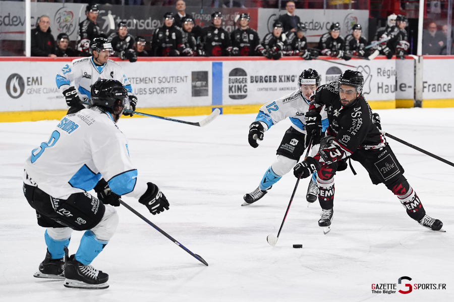 hockey sur glace (synerglace ligue magnus journée 10) : gothiques d’amiens v spartiates de marseille