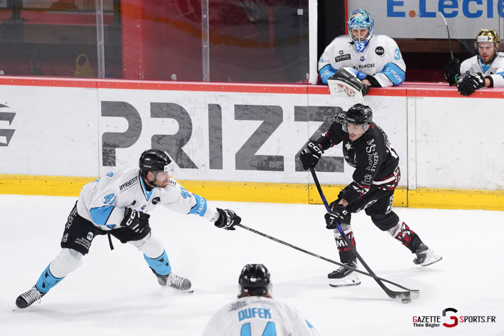 hockey sur glace (synerglace ligue magnus journ&eacute;e 10) : gothiques d&rsquo;amiens v spartiates de marseille