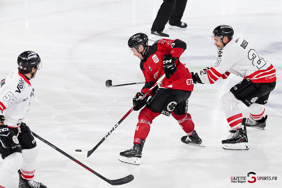 hockey sur glace (synerglace ligue magnus journée 12) : gothiques d’amiens v boxers de bordeaux