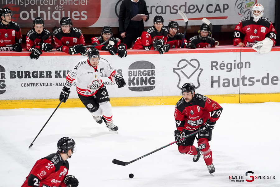 hockey sur glace (synerglace ligue magnus journée 12) : gothiques d’amiens v boxers de bordeaux