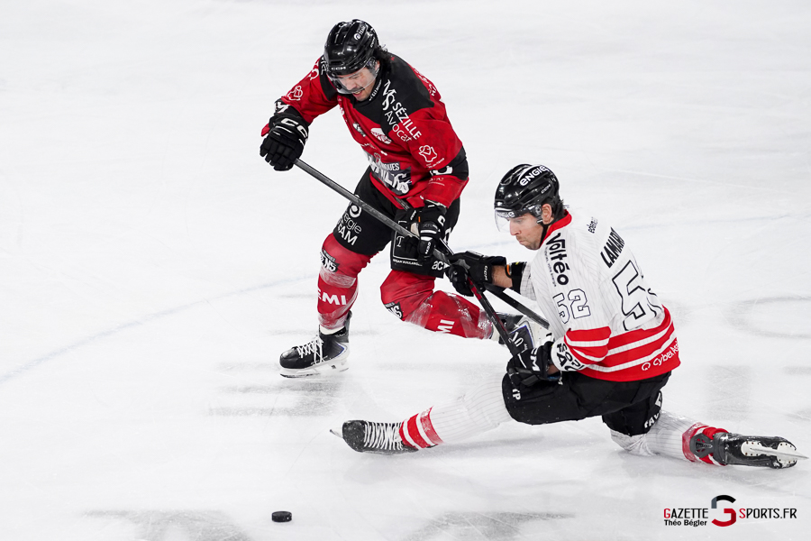 hockey sur glace (synerglace ligue magnus journée 12) : gothiques d’amiens v boxers de bordeaux