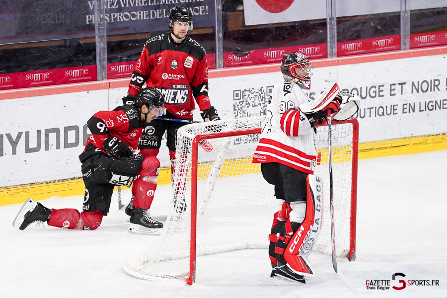 hockey sur glace (synerglace ligue magnus journée 12) : gothiques d’amiens v boxers de bordeaux