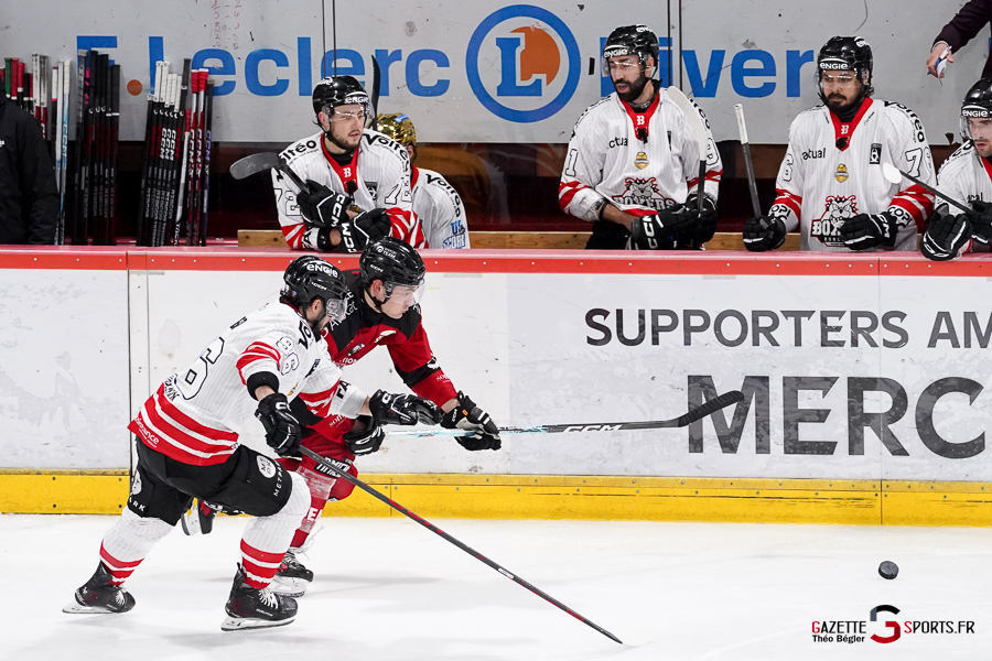 hockey sur glace (synerglace ligue magnus journée 12) : gothiques d’amiens v boxers de bordeaux