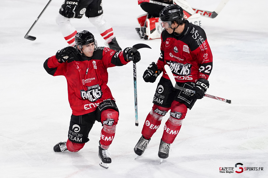 hockey sur glace (synerglace ligue magnus journée 12) : gothiques d’amiens v boxers de bordeaux