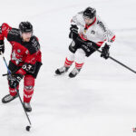hockey sur glace (synerglace ligue magnus journée 12) : gothiques d’amiens v boxers de bordeaux