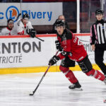 hockey sur glace (synerglace ligue magnus journée 12) : gothiques d’amiens v boxers de bordeaux